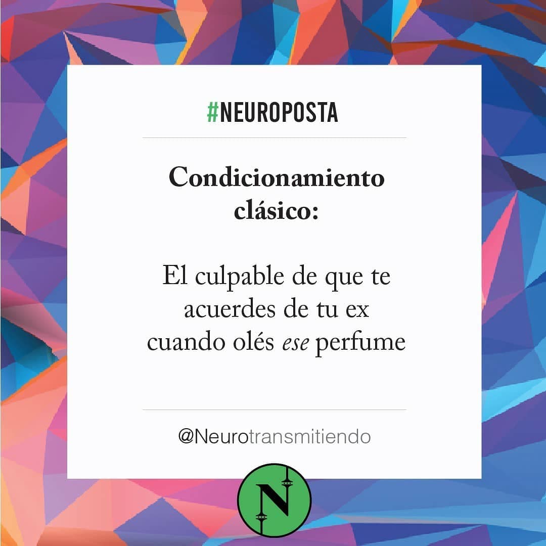 #Neuroposta