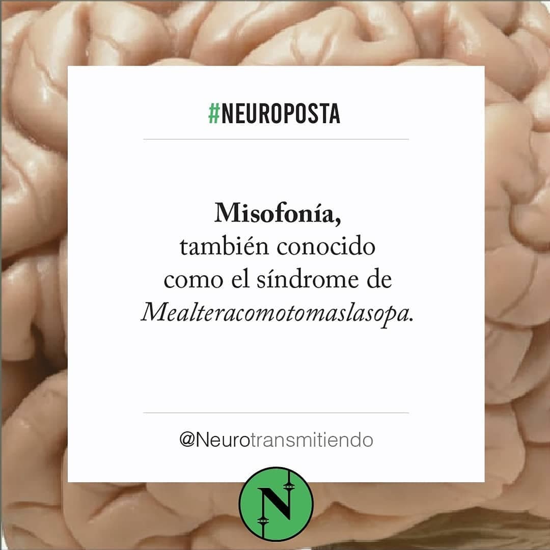 #Neuroposta 🍿El otro día fui al cine a ver Toy Story 4. Amé la peli, pero hubo algo que me amargó la noche (no, no fue e