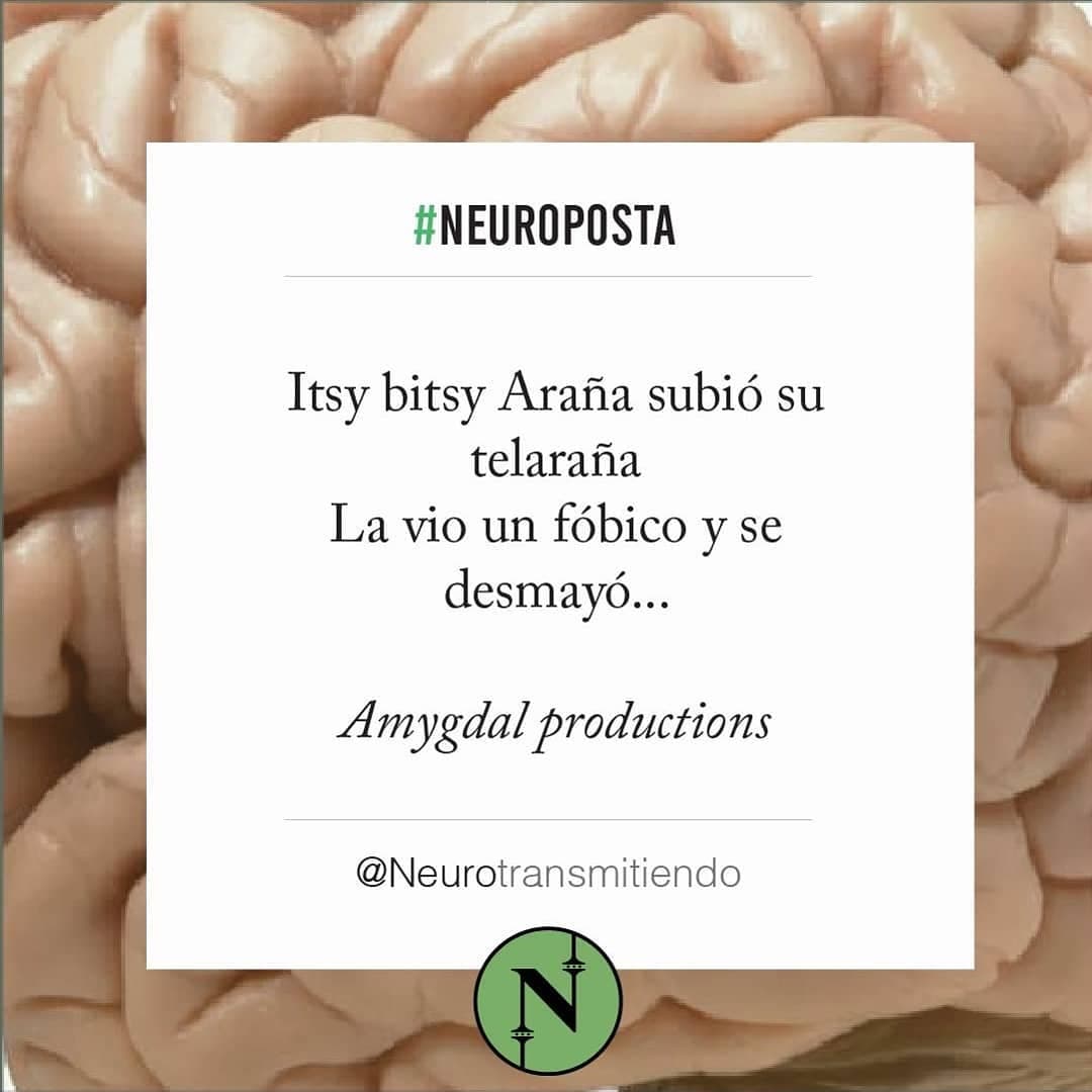 #Neuroposta