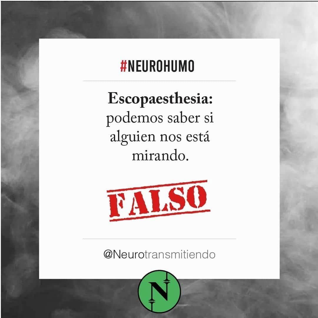 #Neurohumo