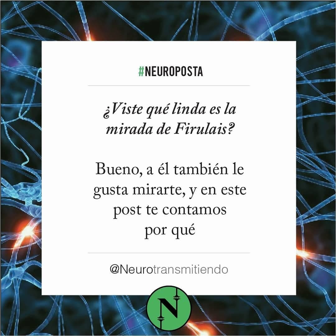 #Neuroposta