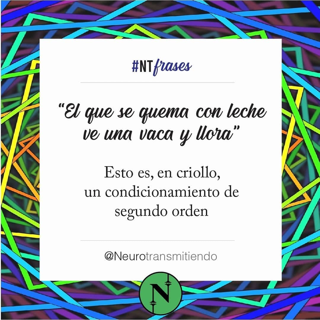 #NTfrases