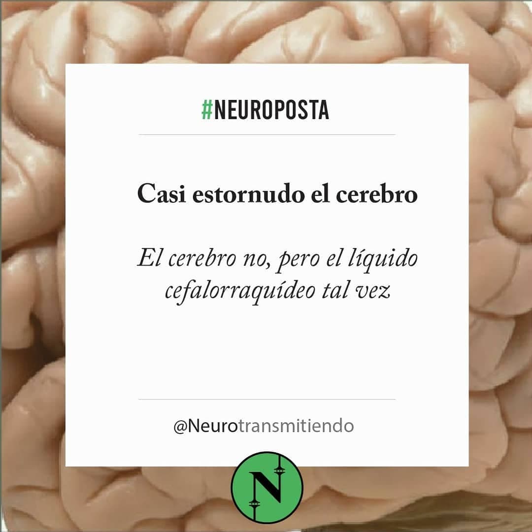 #Neuroposta ❗ En general cuando estornudás te salen mocos de la nariz, pero existe gente muy particular a la que le pued