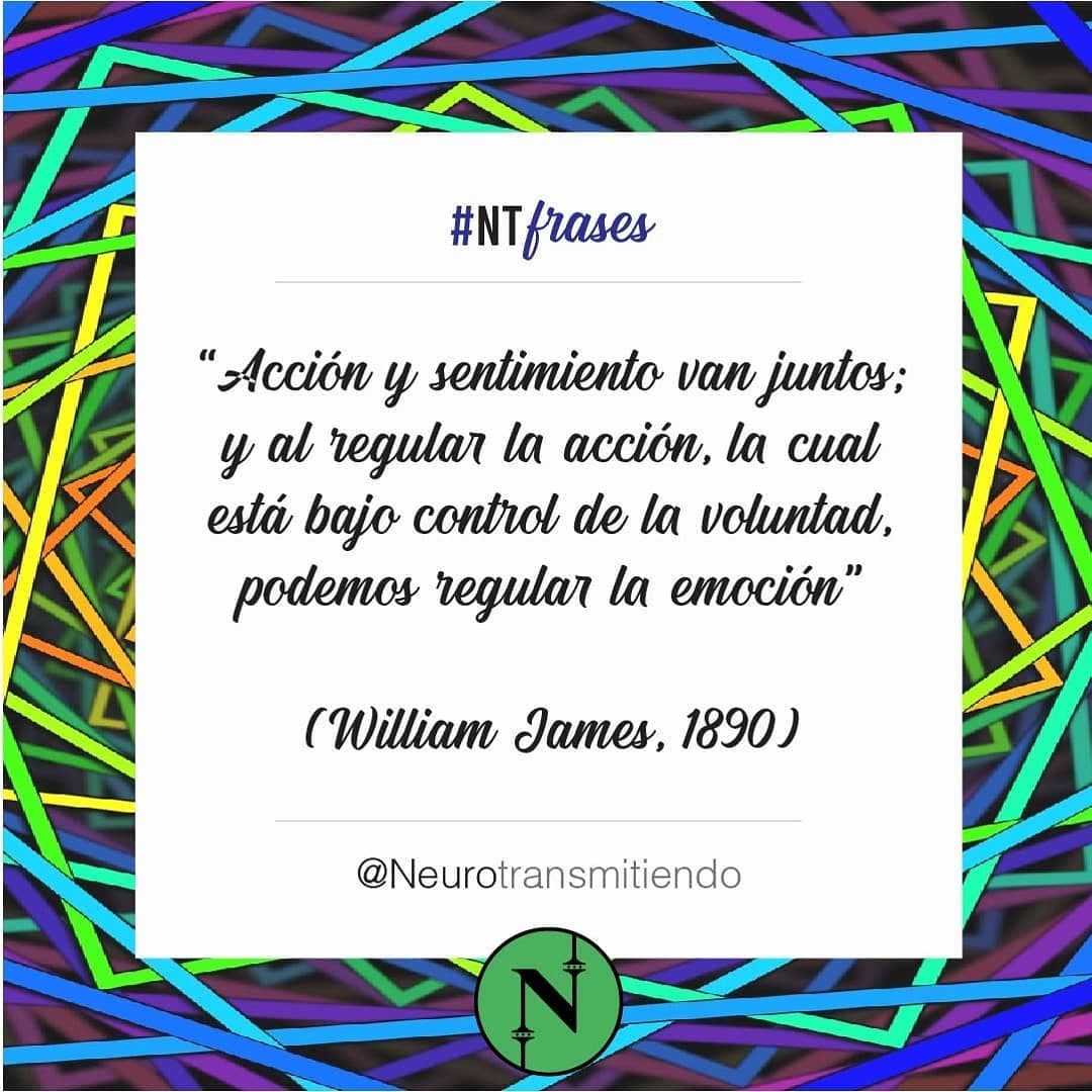 #NTfrase 