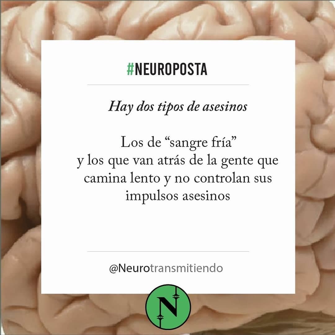 #Neuroposta
