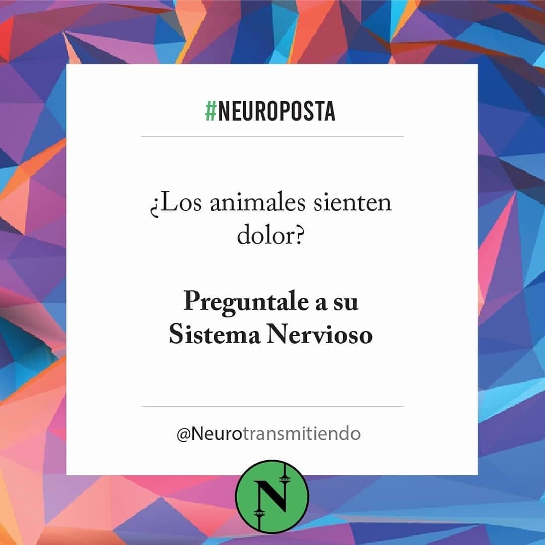 #Neuroposta