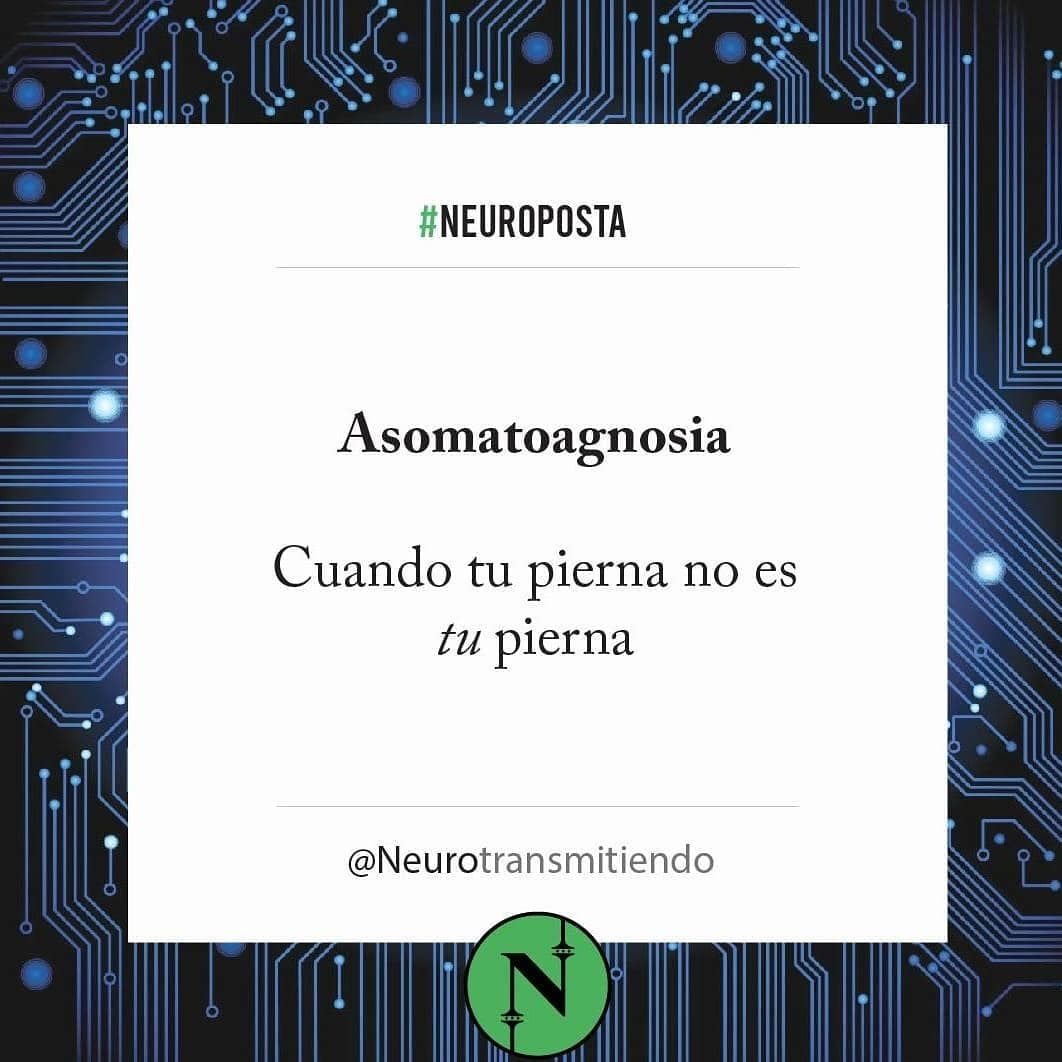 #Neuroposta