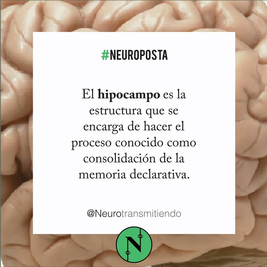 #Neuroposta