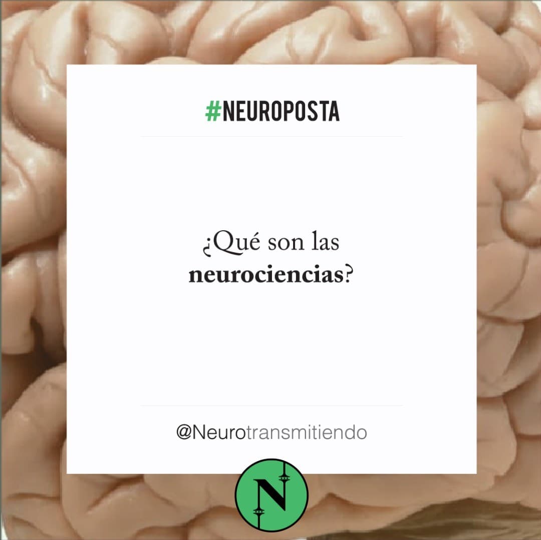 #Neuroposta