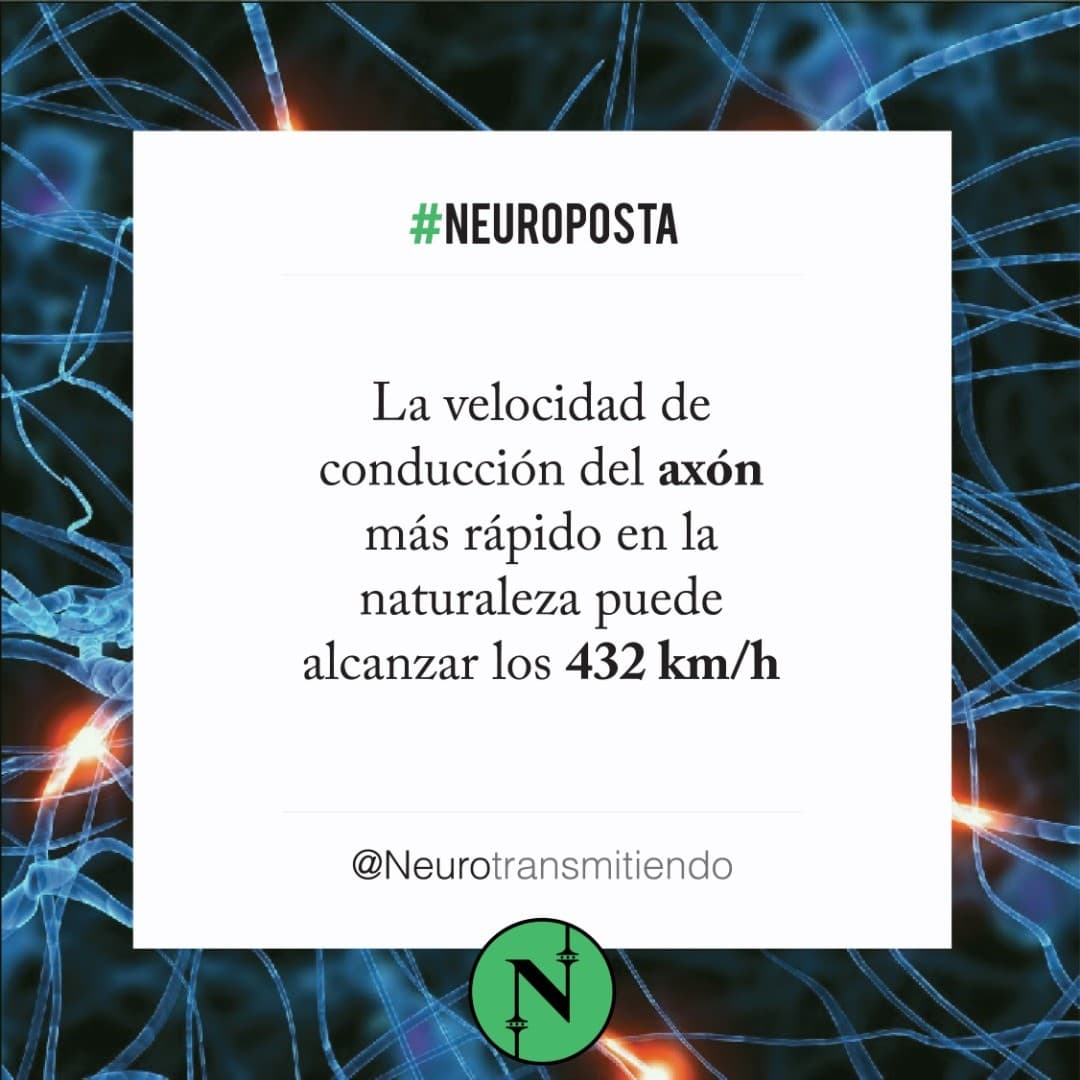 #Neuroposta