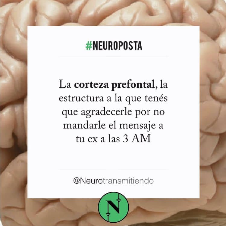 #Neuroposta