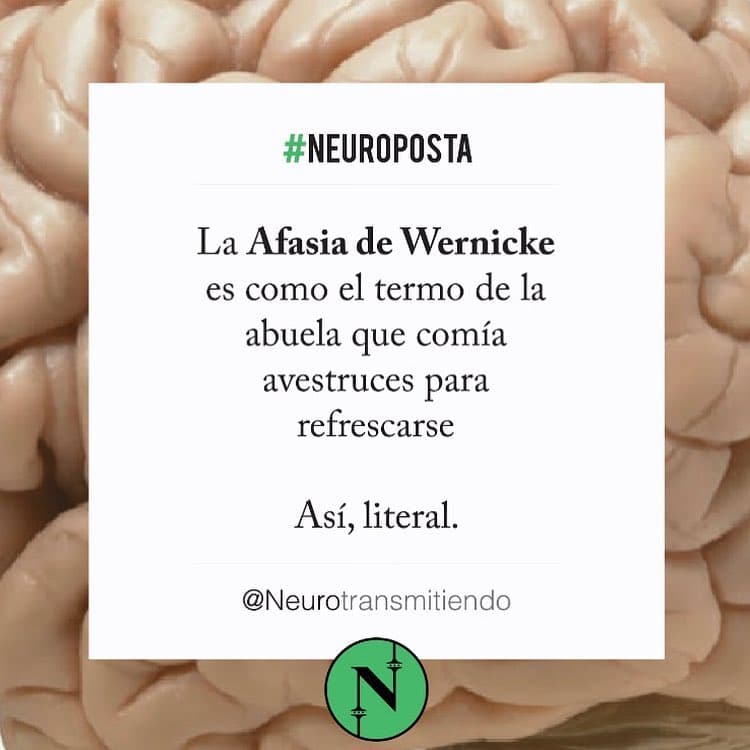 #Neuroposta