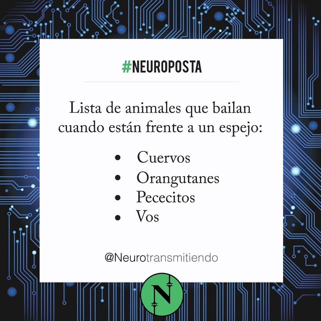 #Neuroposta