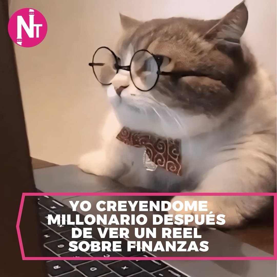 Te sentiste un experto después de ver un video o leer un artículo? 😹