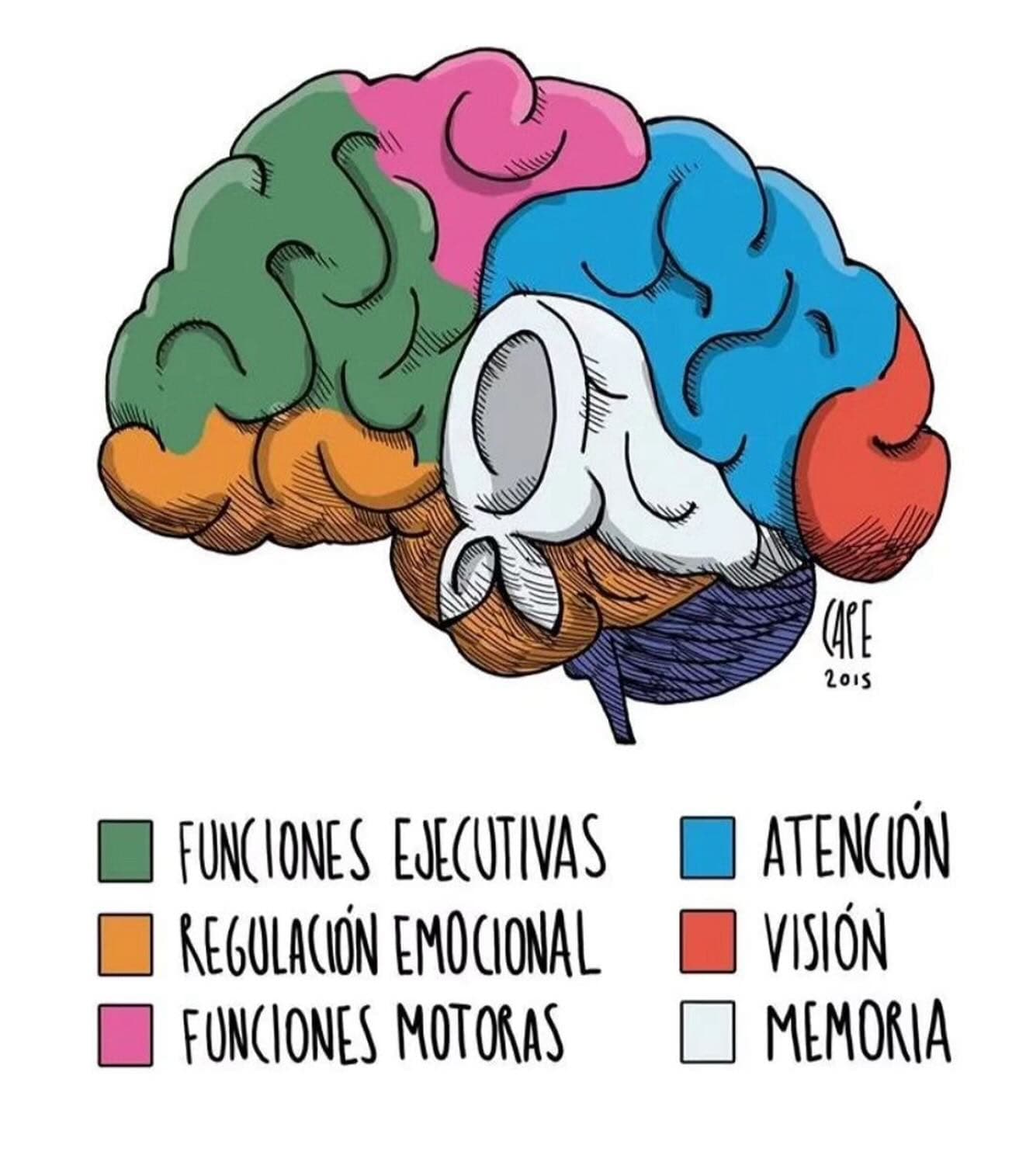 La memoria es un proceso colectivo 🤝🏽