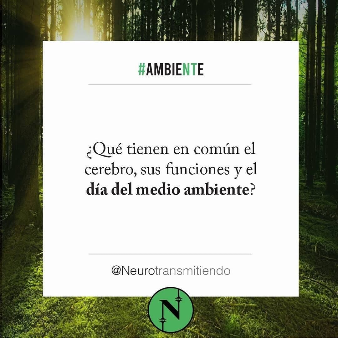 #AmbieNTe