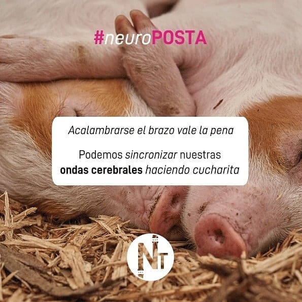 #Neuroposta