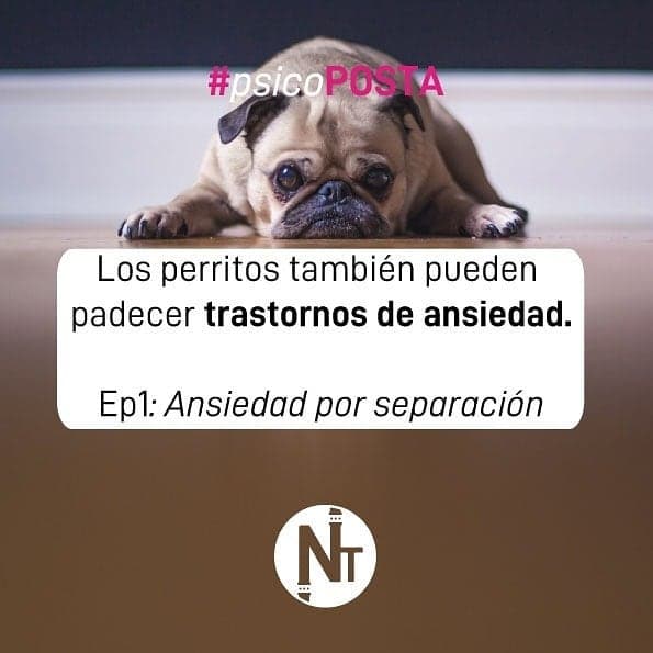 #Psicoposta