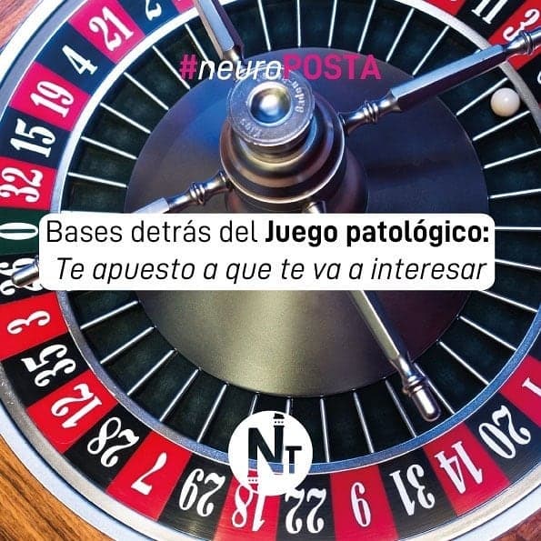 #Neuroposta
