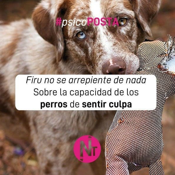 #Psicoposta