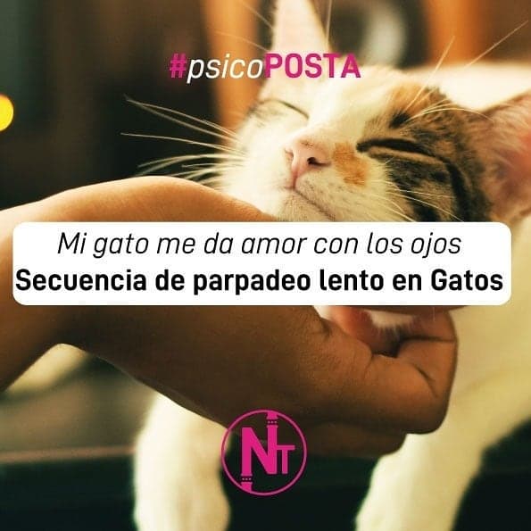 #Psicoposta