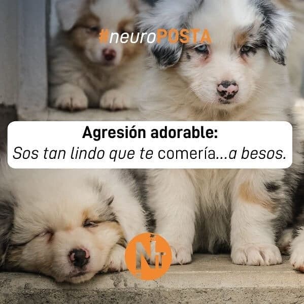 #Neuroposta