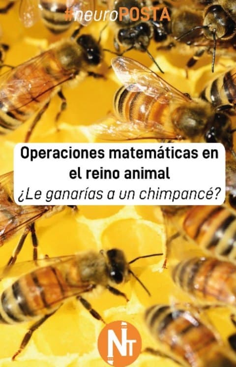 #Neuroposta