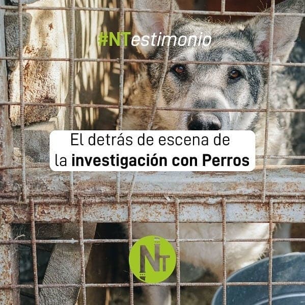 #NTesitmonio
