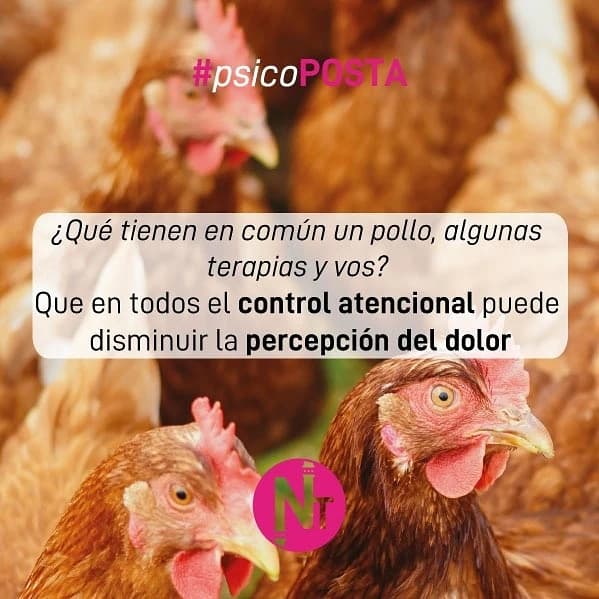 #Psicoposta