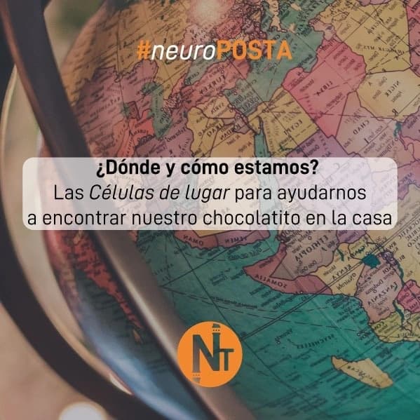 #Neuroposta
