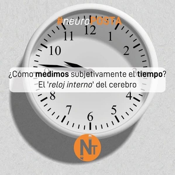 #Neuroposta