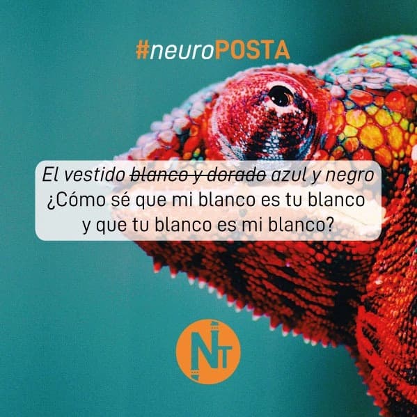 #Neuroposta