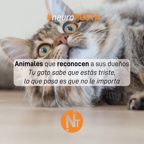 #Neuroposta