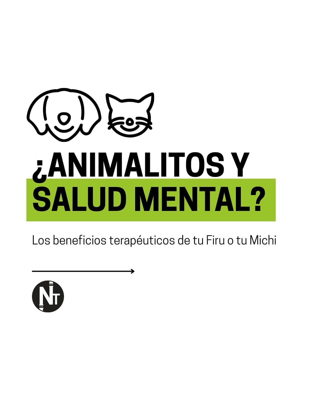 ¿Sabías que Freud atendía con su perro Jofi en el consultorio?