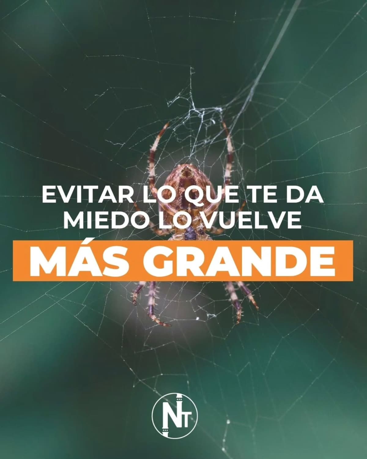 Imaginate tener miedo a las arañas y evitar los parques o lugares donde puedas encontrarte con ellas. O tener miedo de i