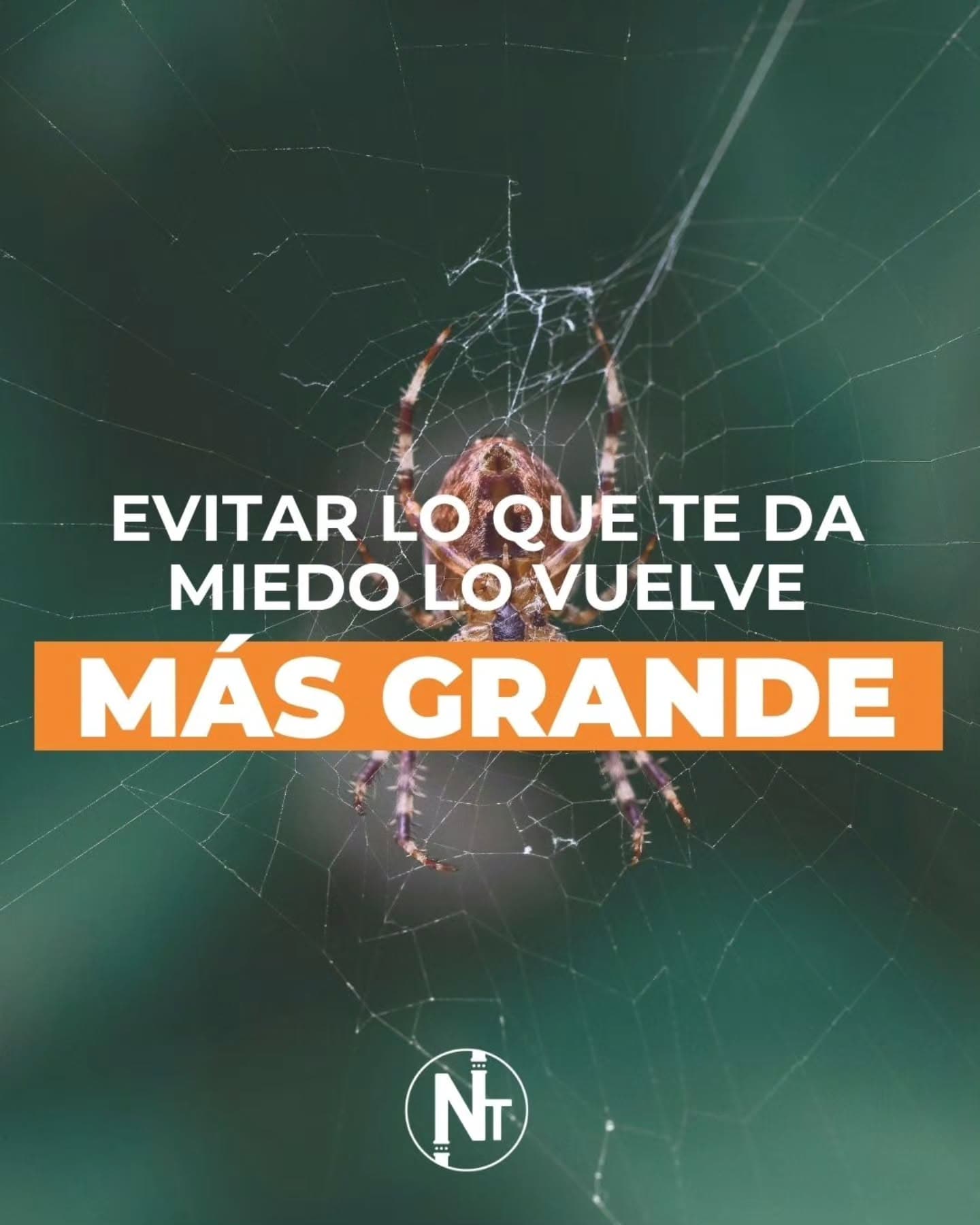 Imaginate tener miedo a las arañas y evitar los parques o lugares donde puedas encontrarte con ellas. O tener miedo de i