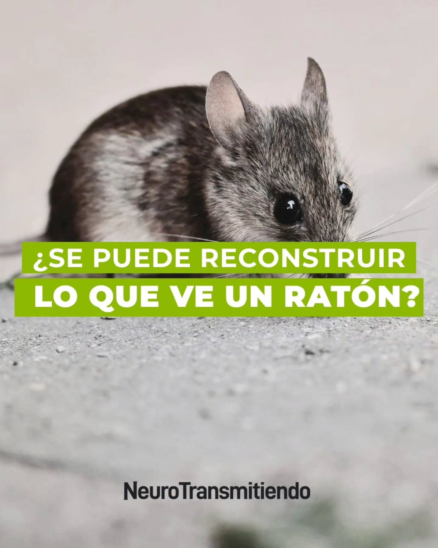 Aprender cada vez más sobre el cerebro y cómo funciona, nos ayuda a poder seguir entendiendo cómo mejorar en áreas como