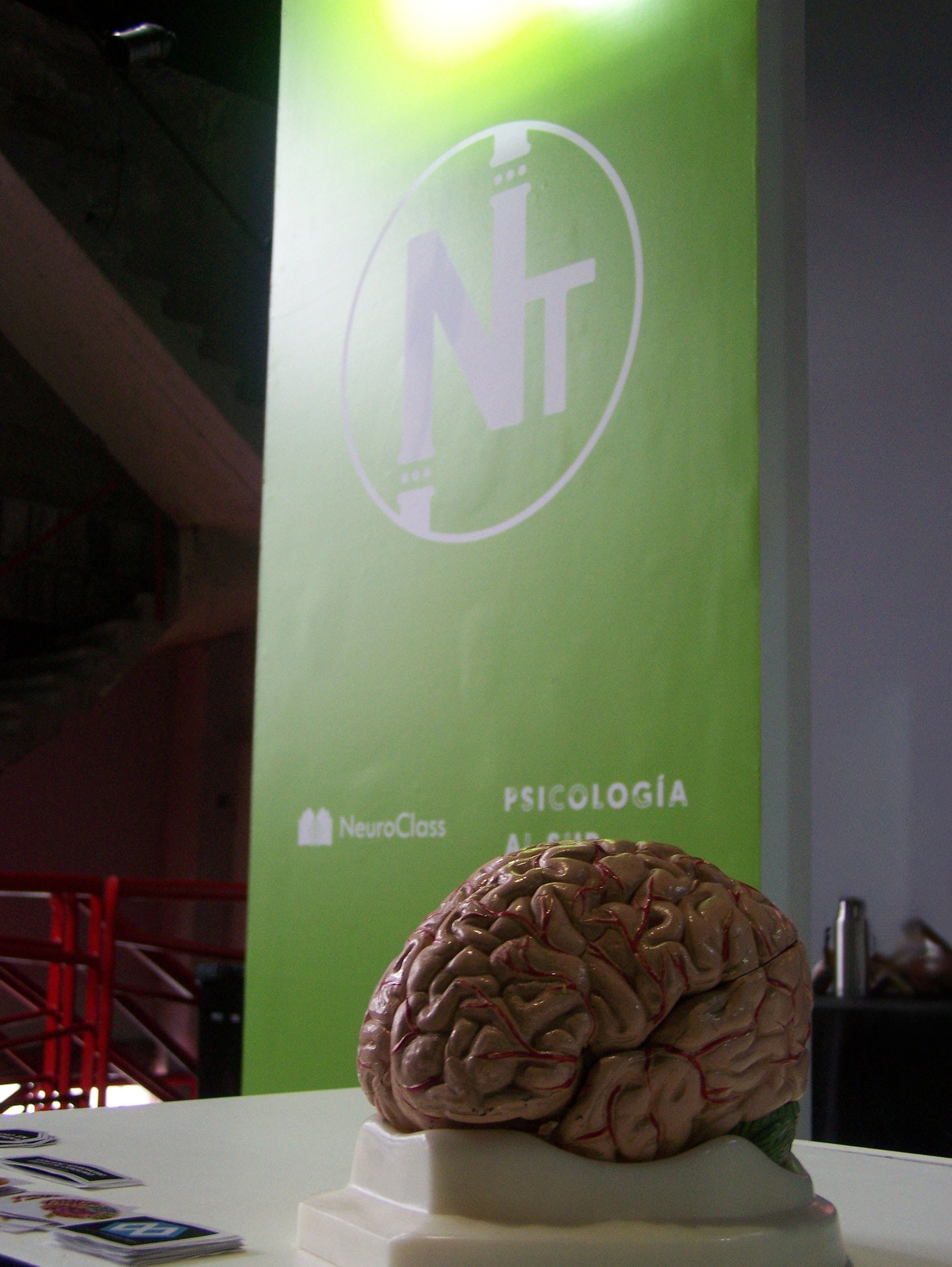 100_6599.JPG