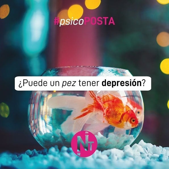 #Psicoposta