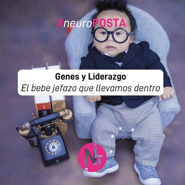 #Neuroposta