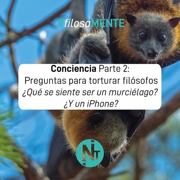 #Filosamente