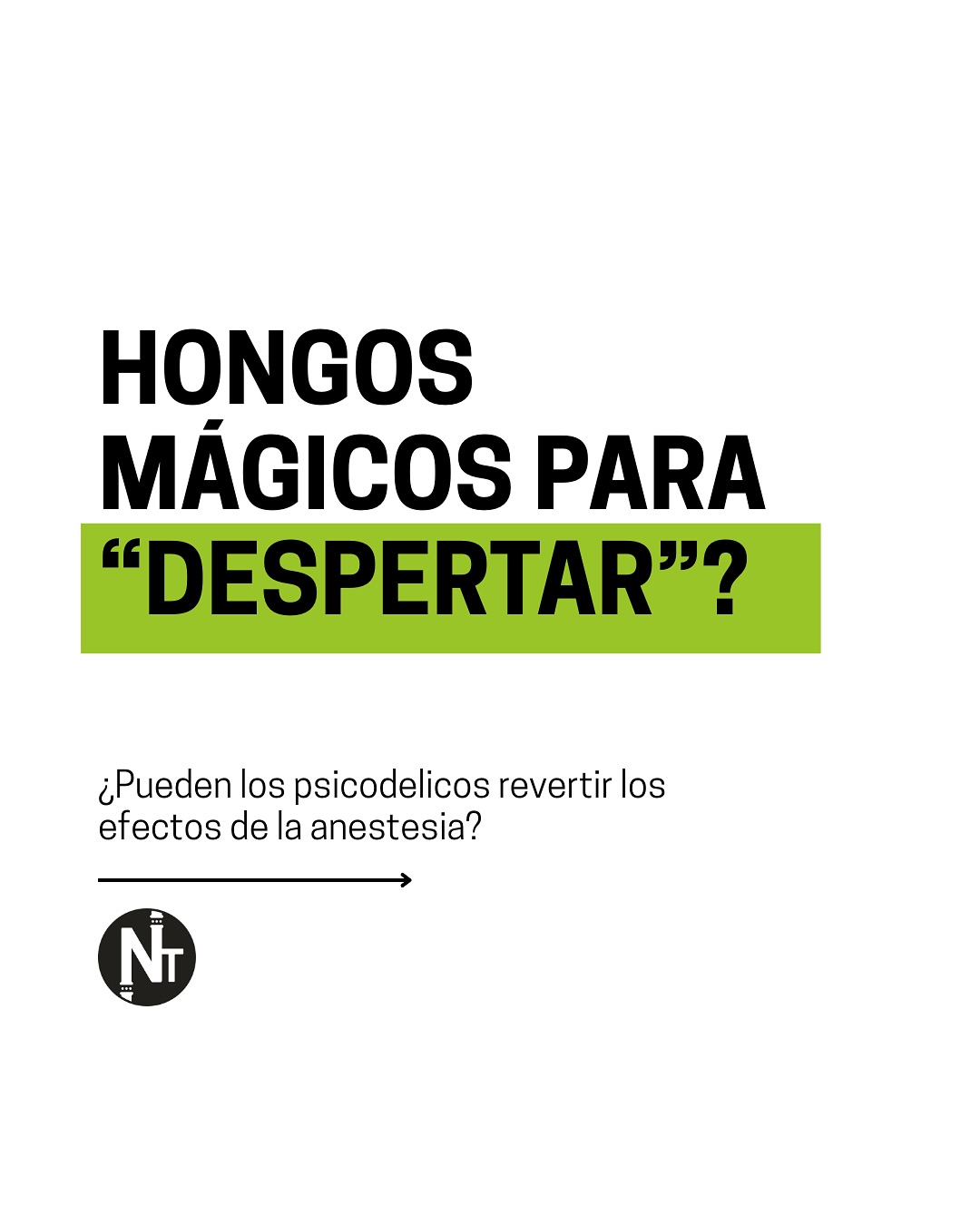 Suena a ciencia ficción, pero no lo es 🧠✨.