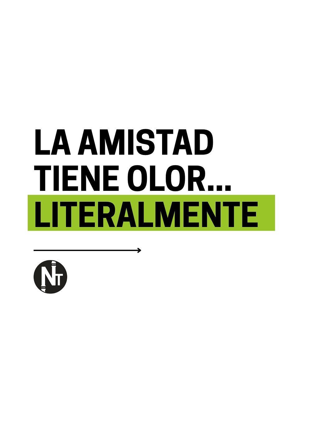 La ciencia encontró algo inesperado: nuestro olfato podría estar eligiendo amigos antes que nuestra conciencia. 👃🏼